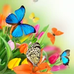 Logo of Butterfly Live Wallpaper android Application 