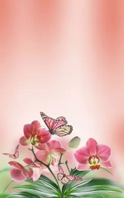 Butterfly Live Wallpaper android App screenshot 2