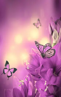 Butterfly Live Wallpaper android App screenshot 3