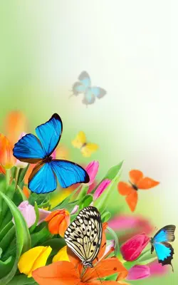 Butterfly Live Wallpaper android App screenshot 4