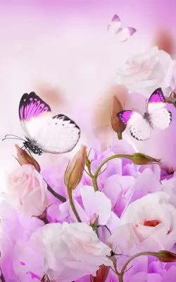 Butterfly Live Wallpaper android App screenshot 5